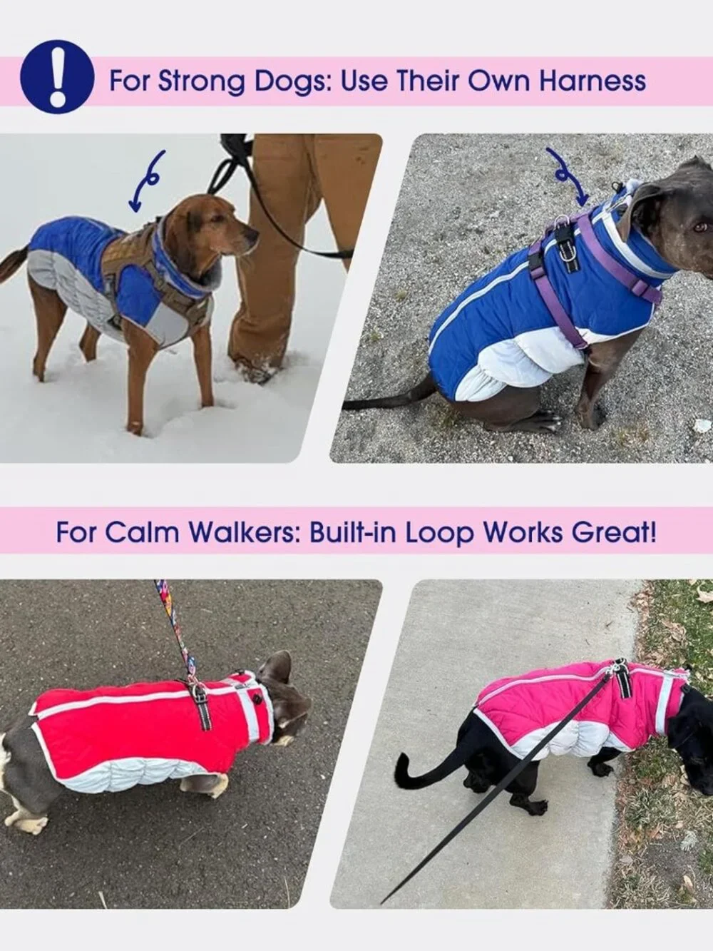 FUAMEY Dog Coat for Medium Dogs